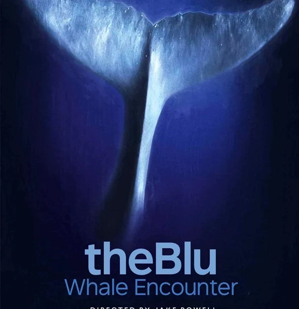 Plongez à Rennes avec The Blu, une expérience VR apaisante et immersive au cœur des profondeurs océaniques.